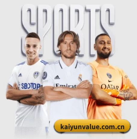 开云 APP（kaiyun）