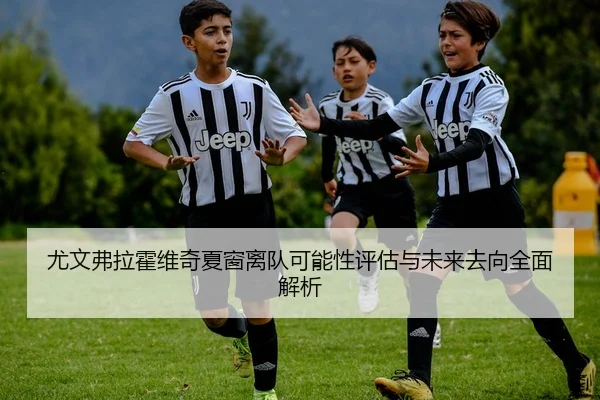 尤文弗拉霍维奇夏窗离队可能性评估与未来去向全面解析